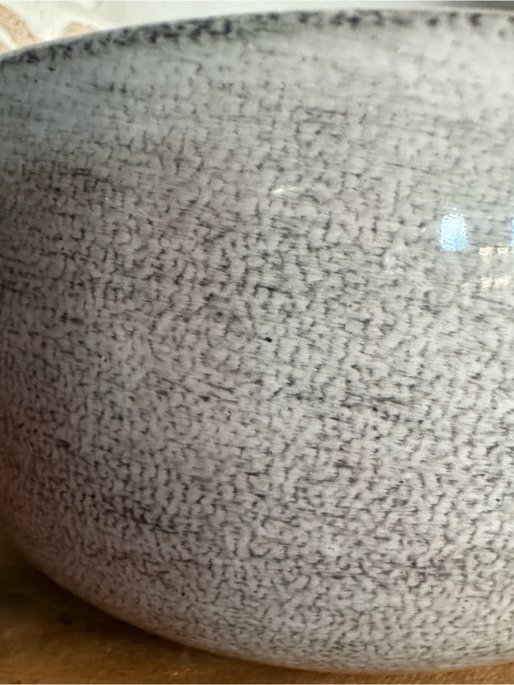 6” Mini Bella Bowl Planter in Dusted Pearl - Picture 7 of 8
